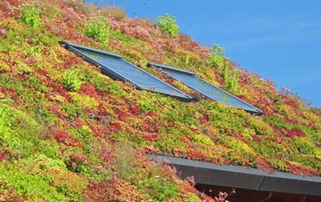 Orton Waterville living roof systems
