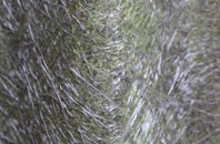 Orton Waterville fibreglass roof work